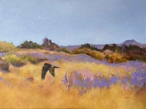 Harrier at the Bosque  30"x40".Oil on canvas  $2,000